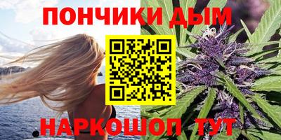стафф Владимир